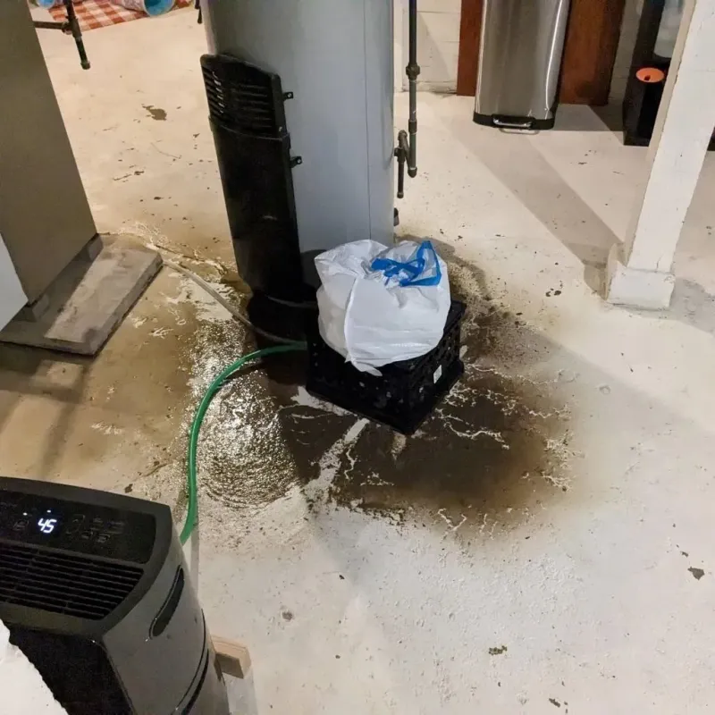 Sewage Backup Cleanup Service in Saline County, NE